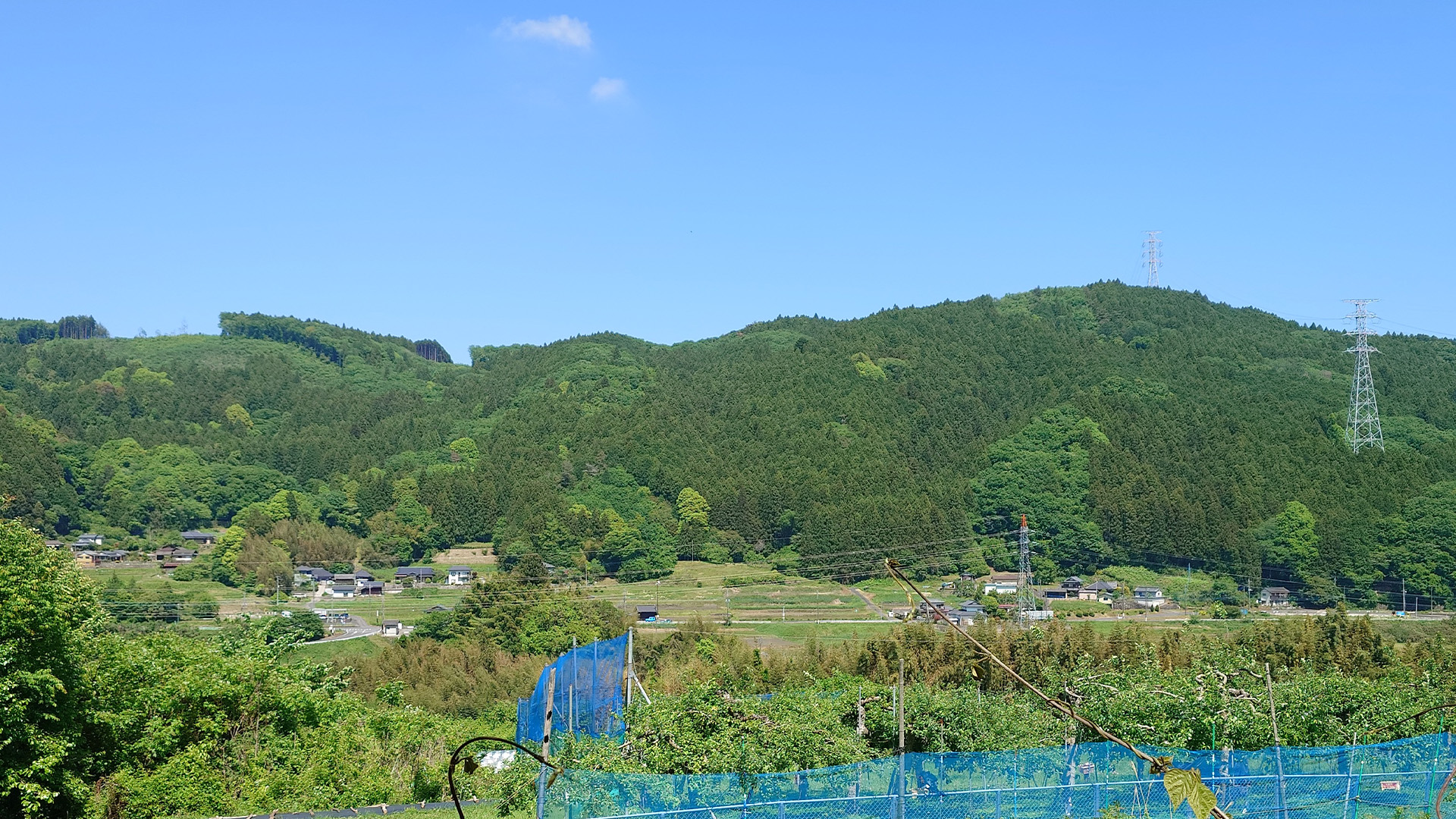5月の朝、りんご畑から見た景色